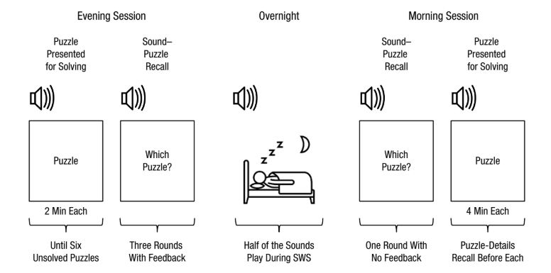 Puoi davvero risolvere “problemi mentre dormi”? Si può influenzare l’apprendimento nel “sonno”?