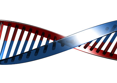 Epigenetica e psicologia: La mente è davvero più forte dei geni?