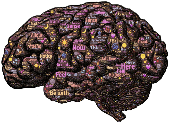 I 4 circuiti cerebrali della meditazione… che puoi davvero allenare!